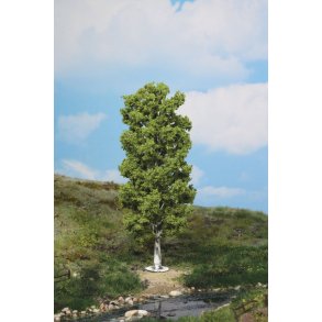 1 birketr� 20 cm