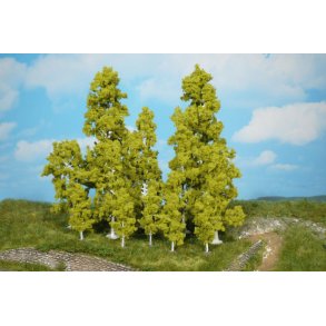 2 birketr�er 18 cm