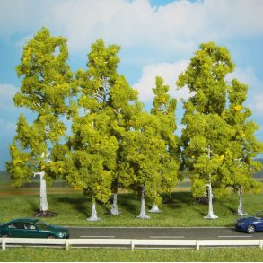 10 stk. Store birketrer 10-18 cm