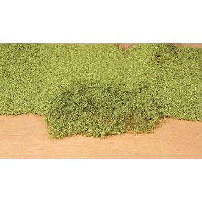 Lysgrn lvbund / bladflor