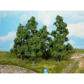 4 stk. frugttrer 9-11 cm